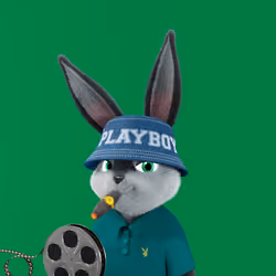 Rabbitar #10956