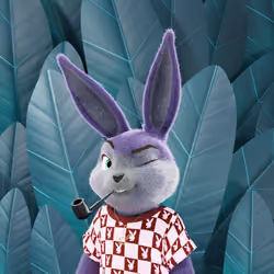 Rabbitar #11337