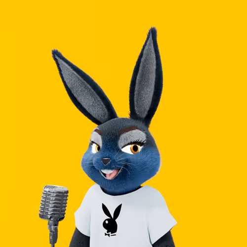 Playboyrabbitars