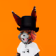 Rabbitar #11392