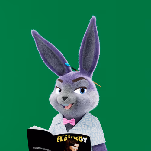 Playboyrabbitars