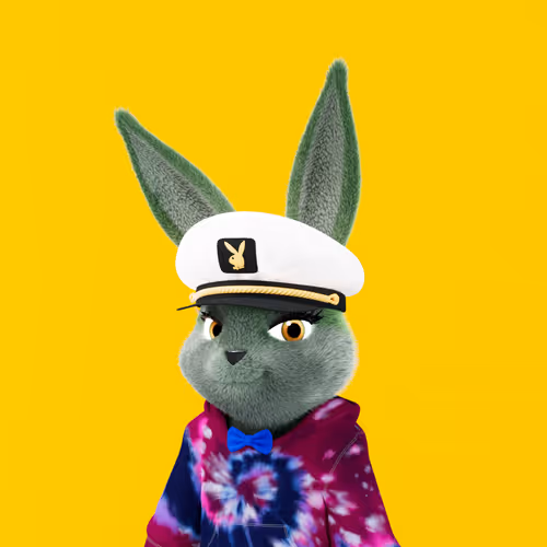 Playboyrabbitars