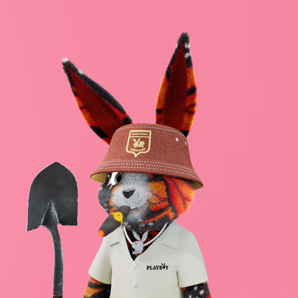 Rabbitar #11911