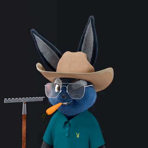 Playboyrabbitars
