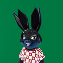 Rabbitar #9586