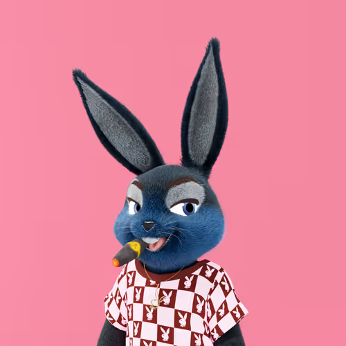 Playboyrabbitars