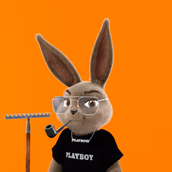Rabbitar #3611