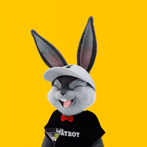 Playboyrabbitars