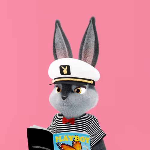 Playboyrabbitars