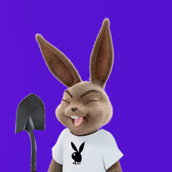 Rabbitar #10311