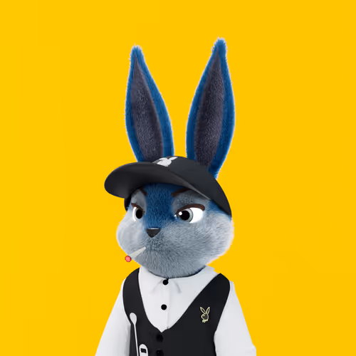 Playboyrabbitars