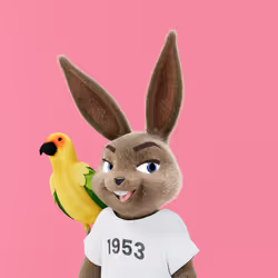 Rabbitar #11314