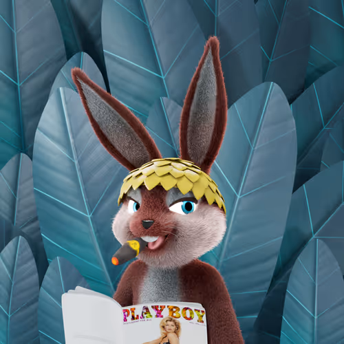 Playboyrabbitars