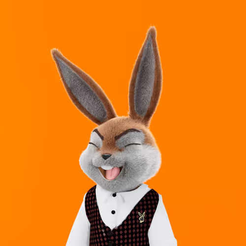 Playboyrabbitars