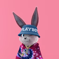 Rabbitar #507