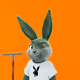 509