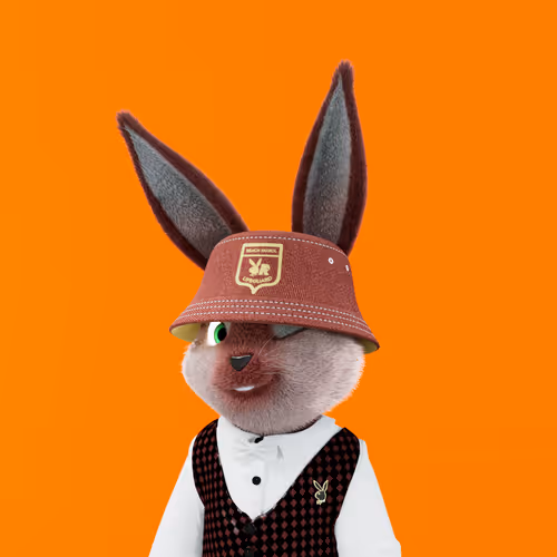 Playboyrabbitars
