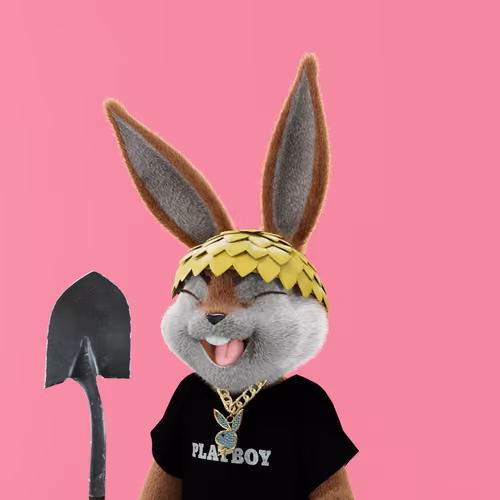 Rabbitar #11912