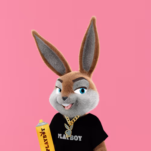 Playboyrabbitars