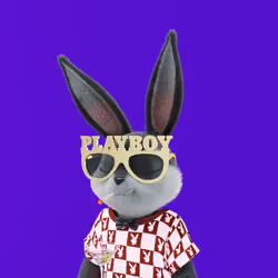 Rabbitar #3667
