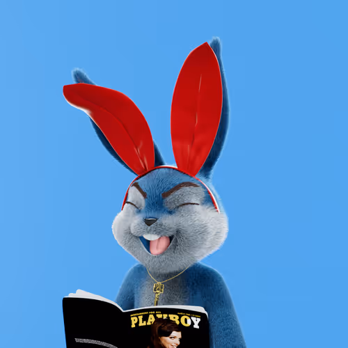 Playboyrabbitars