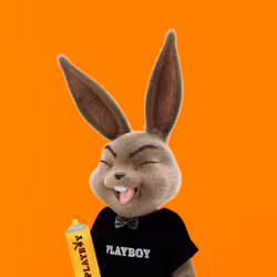 Rabbitar #4373