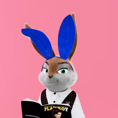 Playboyrabbitars