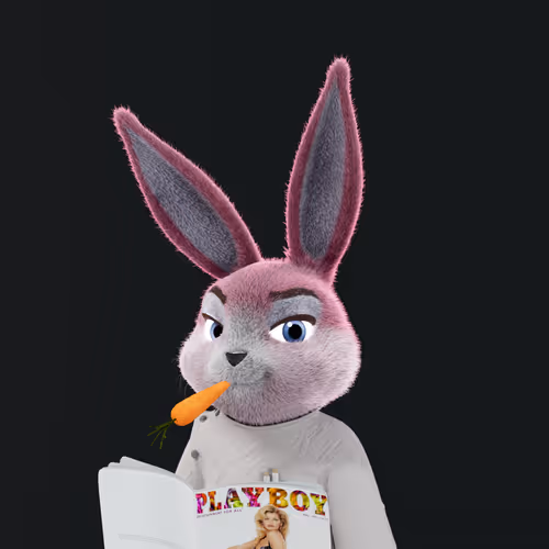 Playboyrabbitars