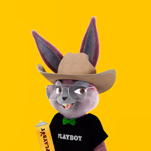 Playboyrabbitars