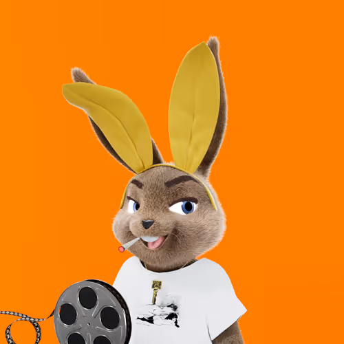 Playboyrabbitars