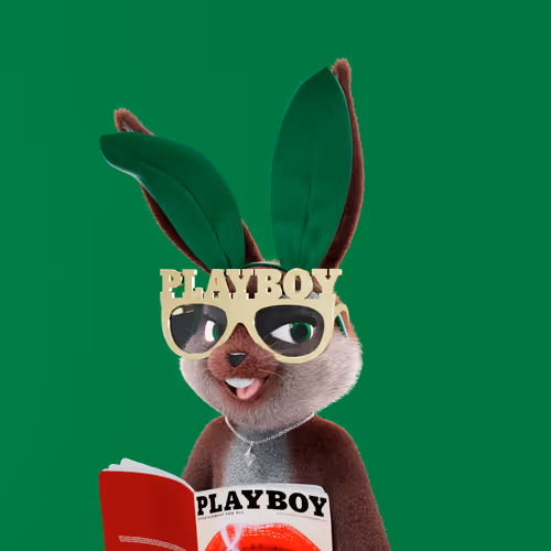 Playboyrabbitars