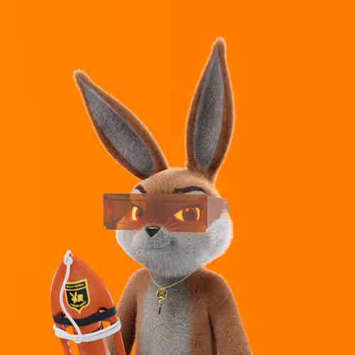 Playboyrabbitars