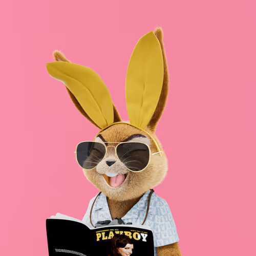 Playboyrabbitars