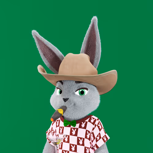 Playboyrabbitars