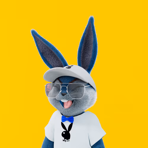 Playboyrabbitars