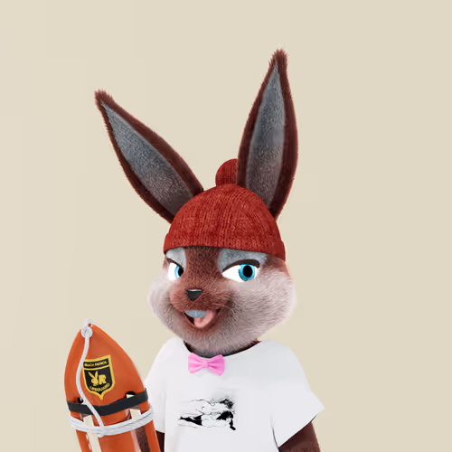 Playboyrabbitars