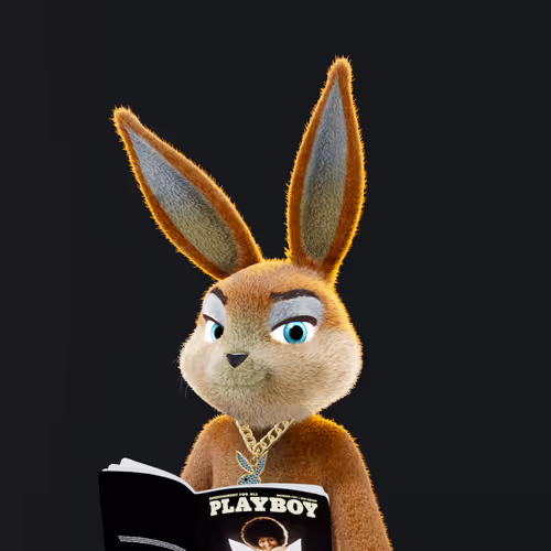 Playboyrabbitars
