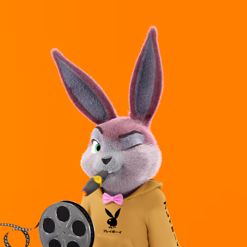 Playboyrabbitars