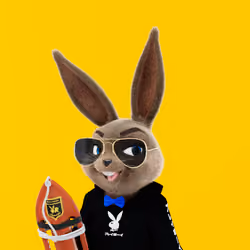 Rabbitar #7885