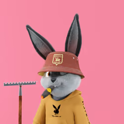 Rabbitar #10850