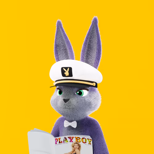 Playboyrabbitars