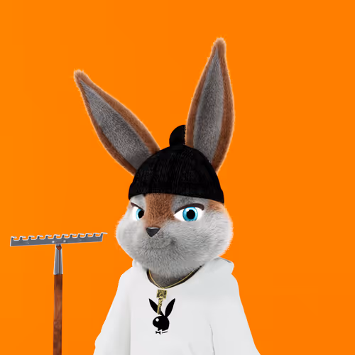 Playboyrabbitars