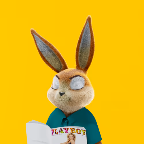 Playboyrabbitars