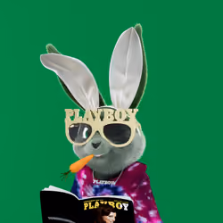 Rabbitar #2720