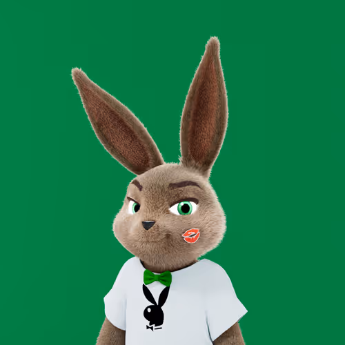 Playboyrabbitars