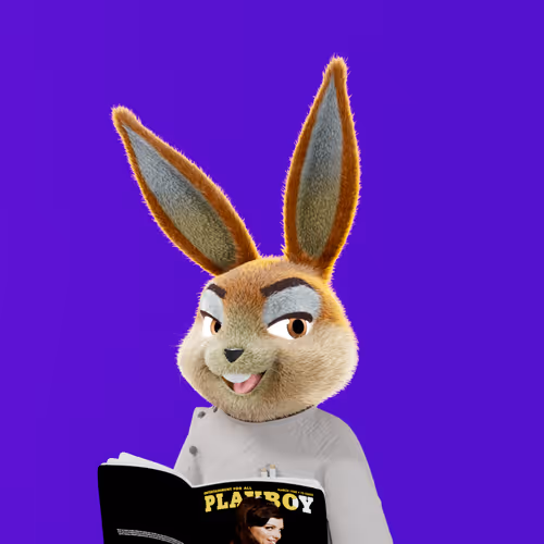 Playboyrabbitars