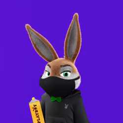 Rabbitar #10312