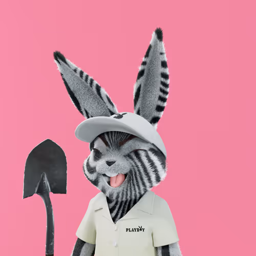 Playboyrabbitars