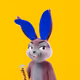 1431