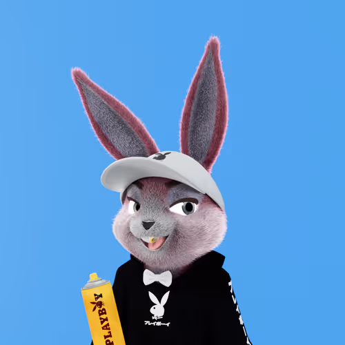 Playboyrabbitars